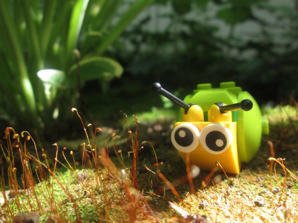 Brick Pic of the Day: Take it slow