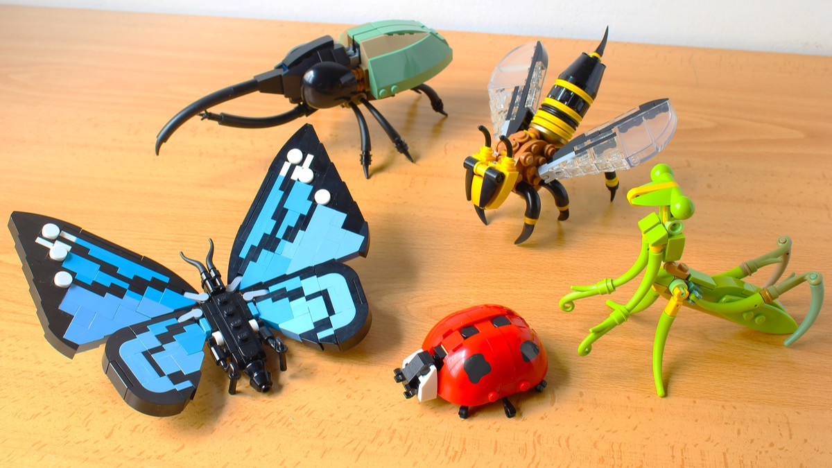 From bricks to beetles: insects project reaches LEGO Ideas review stage