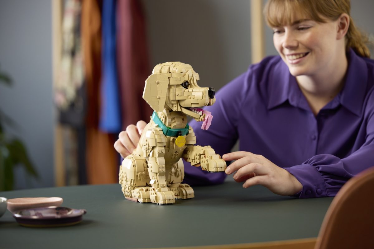 LEGO Icons 11384 Golden Retriever Puppy 21 1200x800