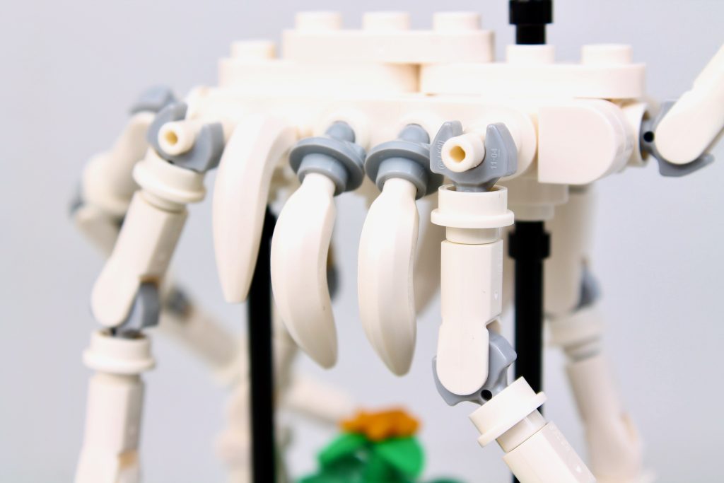 LEGO Icons 10326 Natural History Museum review 34 1024x683