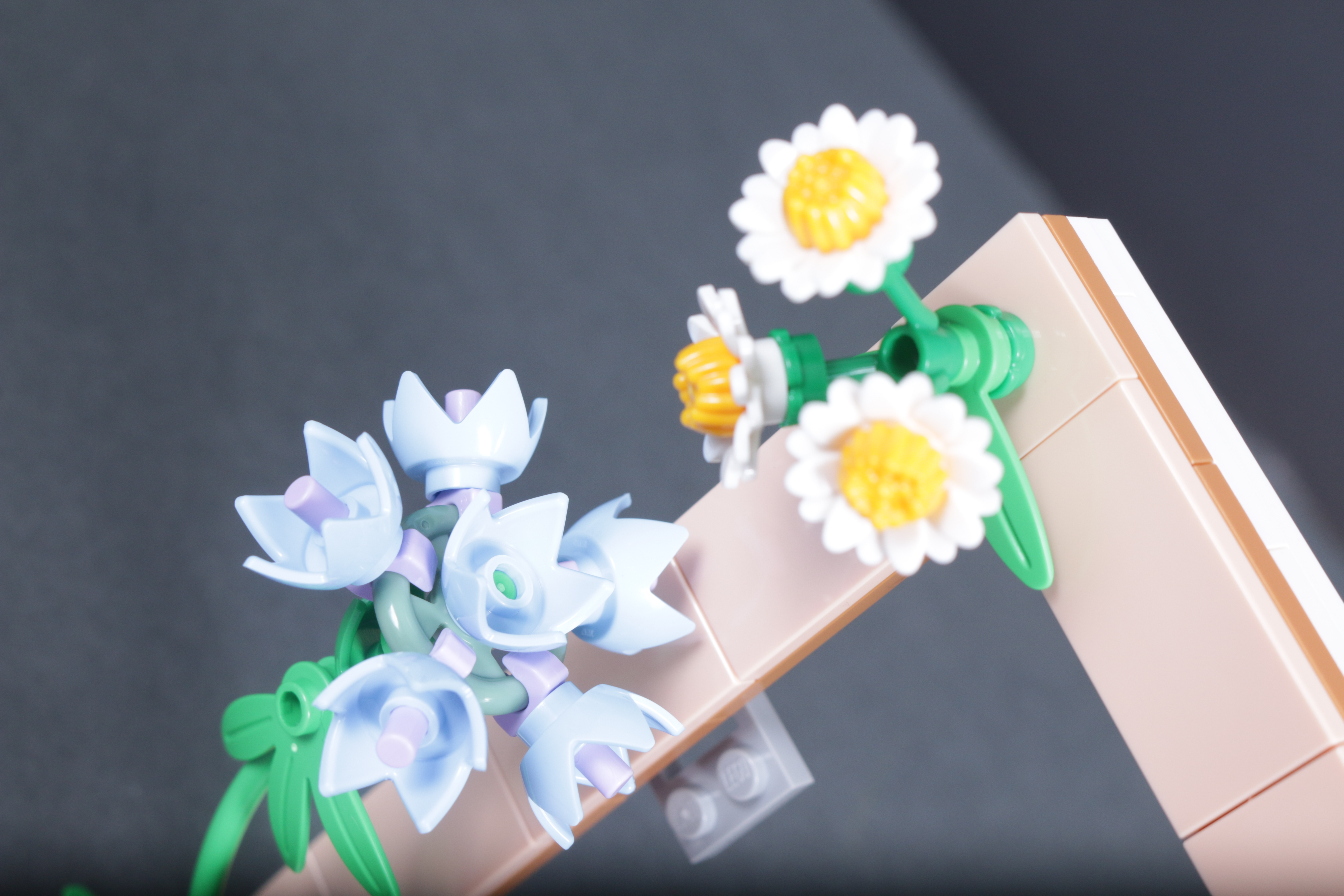 LEGO Botanicals 40916 Floral Picture Frame GWP review 7