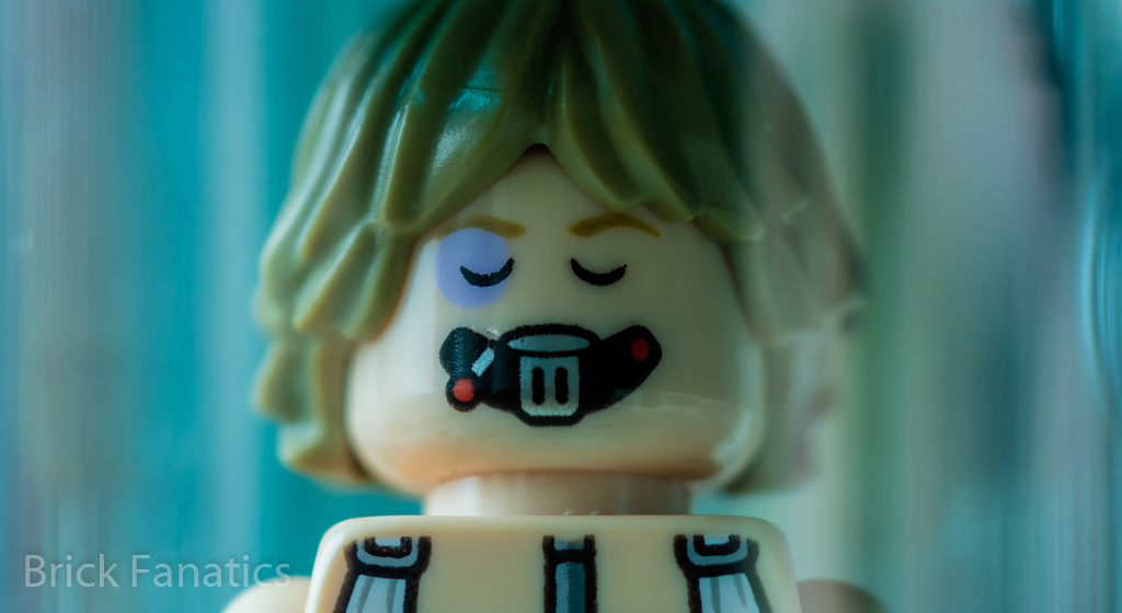 Brick Pic of the Day: Recovery
