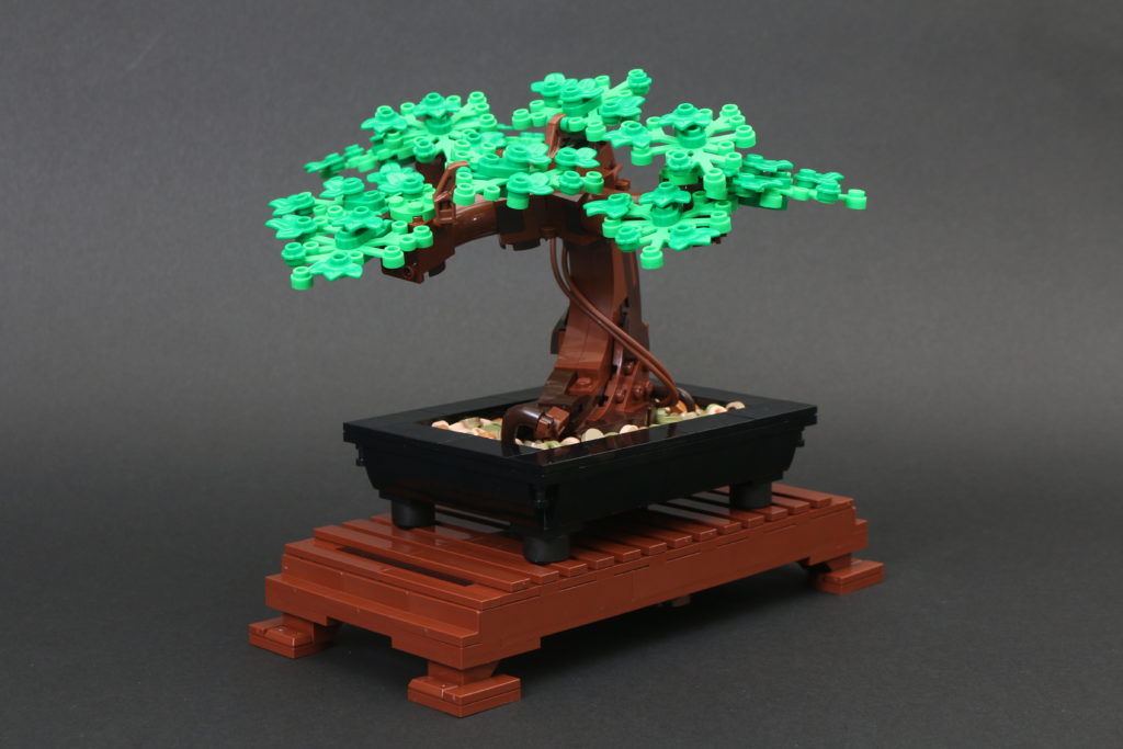 LEGO Botanical Collection 10281 Bonsai Tree review 33