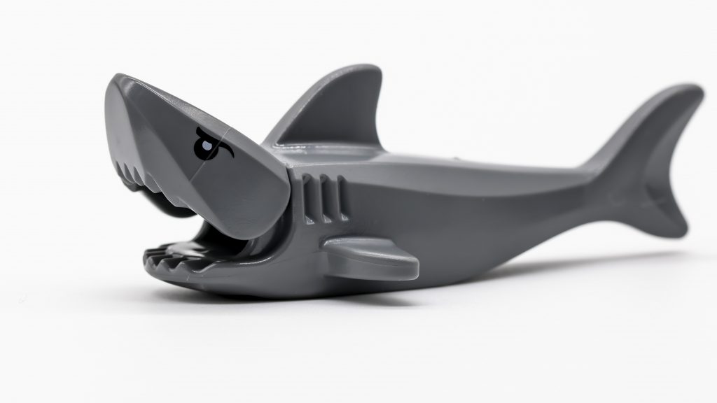 shark 1024x576