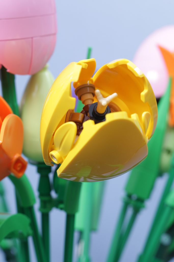 LEGO Botanicals 11501 Tulip Bouquet 11509 Flowering Cactus 11508 Daisies 11504 Peace Lily review 26 683x1024
