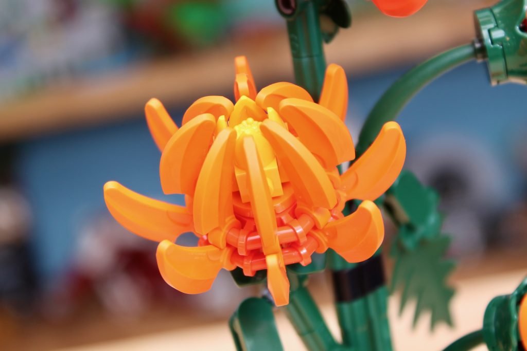 LEGO Botanicals 10368 Chrysanthemum 10369 Plum Blossom critique 9 1024x683