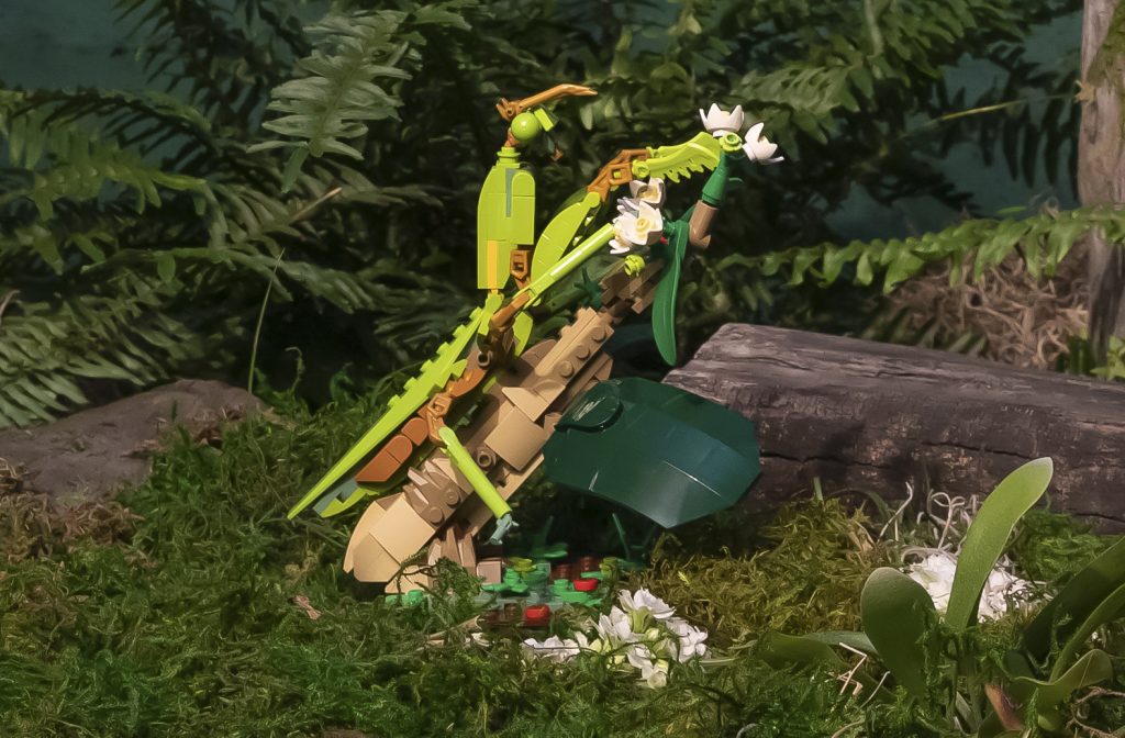 LEGO Ideas 21342 The Insect Collection mantis 1024x672