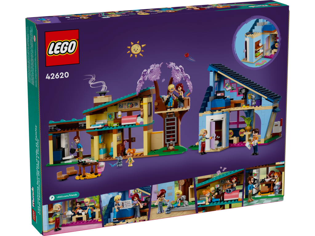 42620 olly paisley houses 2 1024x768