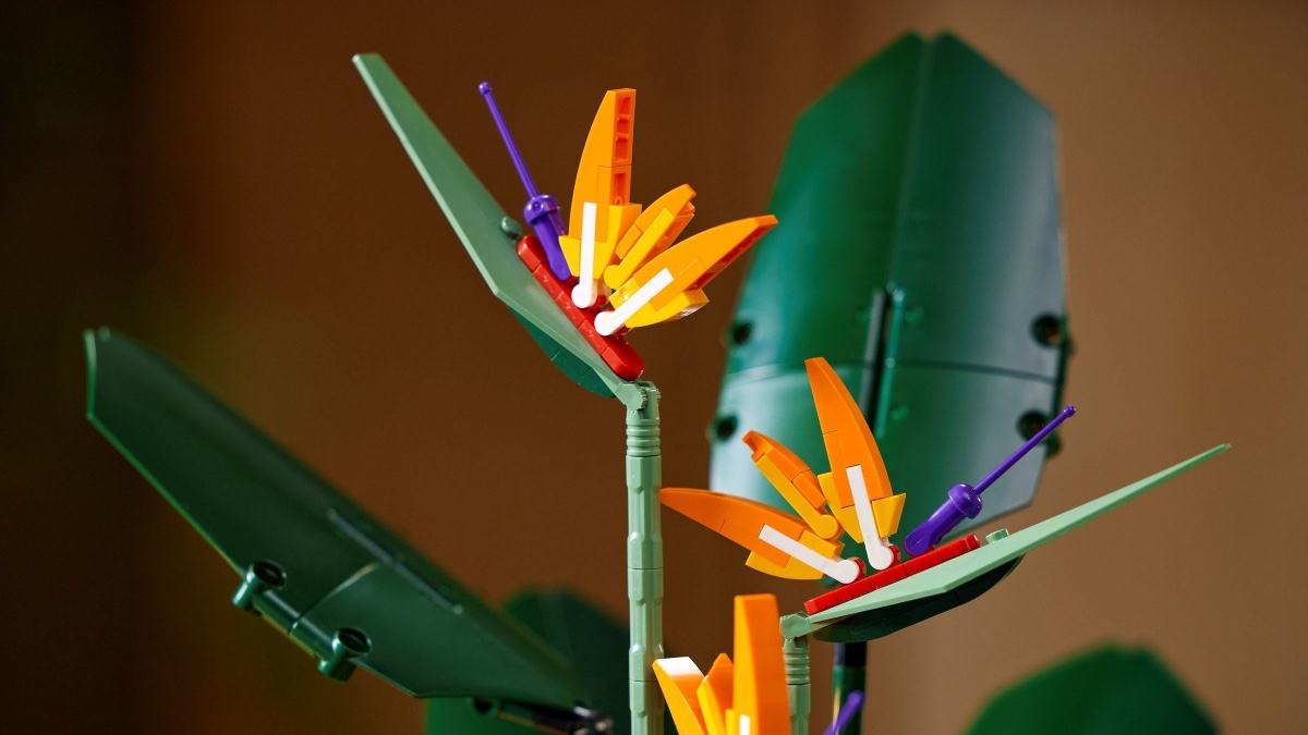Save 20% on LEGO ICONS 10289 Bird of Paradise in John Lewis LEGO sale