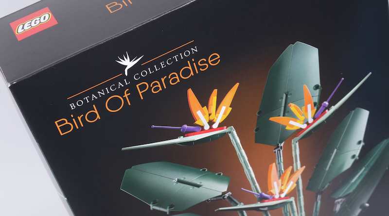 The LEGO Botanical Collection is growing with 10289 Bird of Paradise