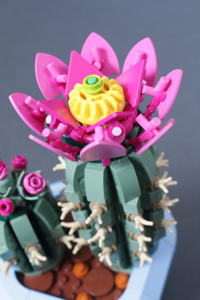 LEGO Botanicals 11501 Tulip Bouquet 11509 Flowering Cactus 11508 Daisies 11504 Peace Lily review 12 683x1024